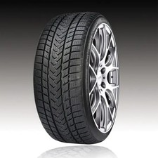 Gomme Invernali Gripmax 225/45