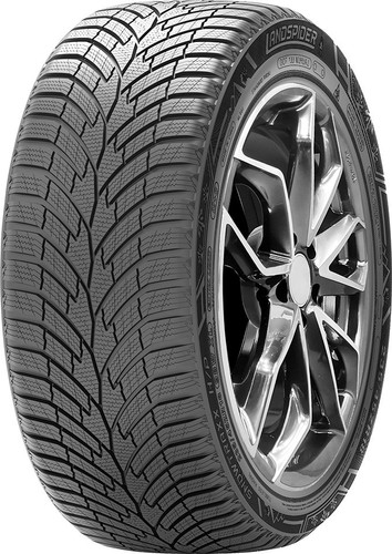 Gomme invernali landspider - gomme,